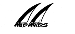 WILD WINDS trademark