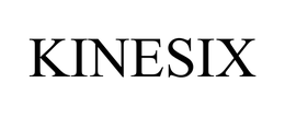 KINESIX trademark