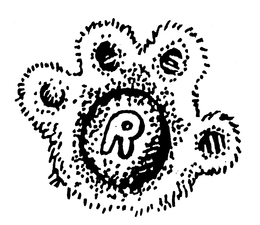R trademark