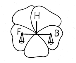 HFB trademark