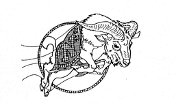 N trademark