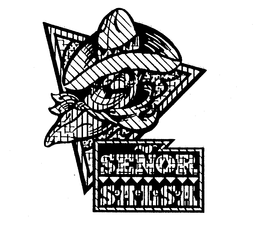 SENOR SALSA trademark