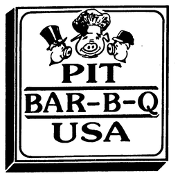 PIT BAR-B-Q USA trademark