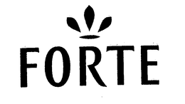 FORTE trademark