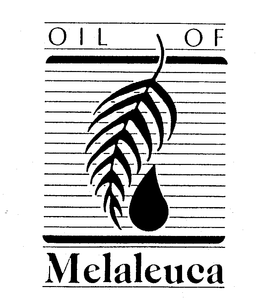 OIL OF MELALEUCA trademark