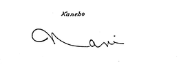 KANEBO NAVI trademark