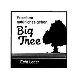 FUSSFORM NATURLICHES GEHEN BIG TREE ECHT LEDER trademark