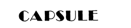 CAPSULE trademark