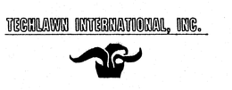 TECHLAWN INTERNATIONAL, INC. trademark