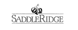 SADDLERIDGE trademark