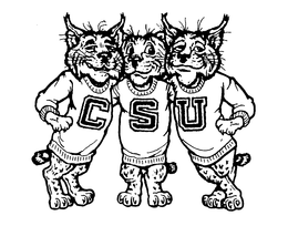 CSU trademark