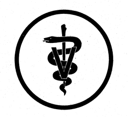 V trademark
