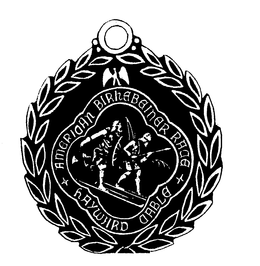 AMERICAN BIRKEBEINER RACE HAYWARD CABLE trademark