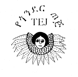 TEJ trademark