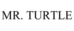 MR. TURTLE trademark