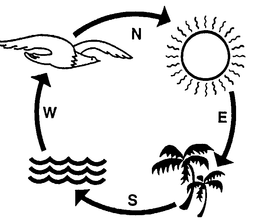 N E S W trademark