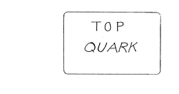 TOP QUARK trademark