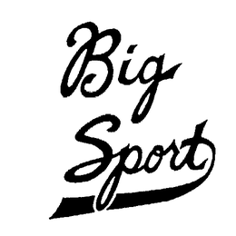 BIG SPORT trademark