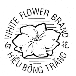 WHITE FLOWER BRAND HIEU BONG TRANG trademark
