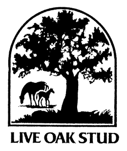 LIVE OAK STUD trademark