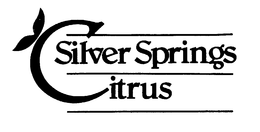 SILVER SPRINGS CITRUS trademark