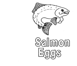 SALMON EGGS trademark