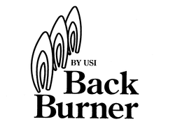 BACK BURNER BY USI trademark