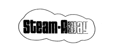 STEAM-AWAY trademark