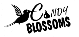 CANDY BLOSSOMS trademark