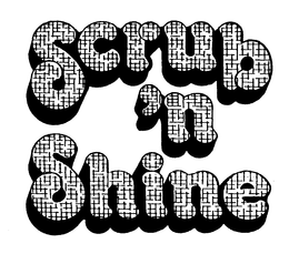 SCRUB 'N SHINE trademark