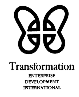 TRANSFORMATION ENTERPRISE DEVELOPMENT INTERNATIONAL trademark