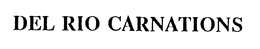 DEL RIO CARNATIONS trademark