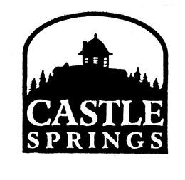 CASTLE SPRINGS trademark
