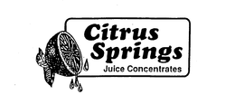 CITRUS SPRINGS JUICE CONCENTRATES trademark