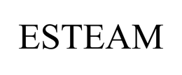 ESTEAM trademark