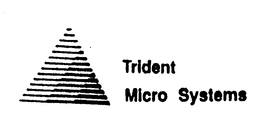TRIDENT MICRO SYSTEMS trademark