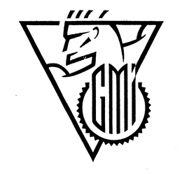 GMI trademark