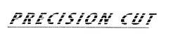 PRECISION CUT trademark