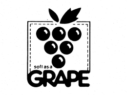 SOFT AS A GRAPE trademark