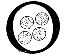 SOFTWARE TRANSFORMATION, INC. trademark