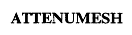 ATTENUMESH trademark