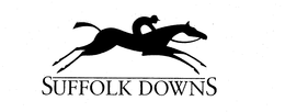 SUFFOLK DOWNS trademark