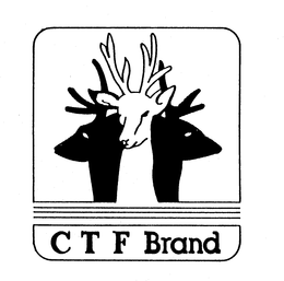C T F BRAND trademark