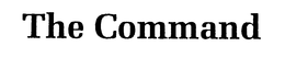 THE COMMAND trademark