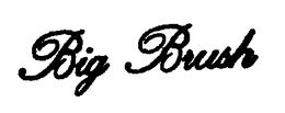 BIG BRUSH trademark