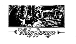VICHY SPRINGS trademark