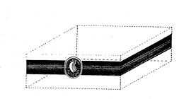 PREMIUM TURBANA trademark