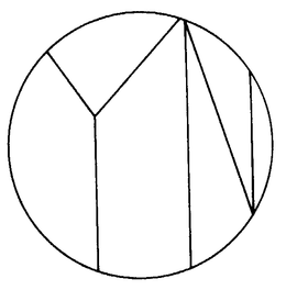 YN trademark