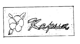 KAPUA trademark