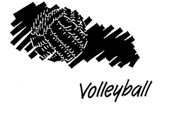 VOLLEYBALL trademark